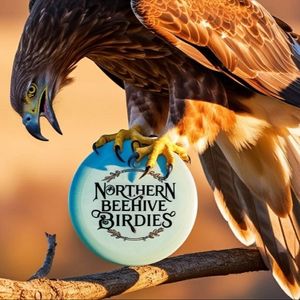 Northern Beehive Birdies 