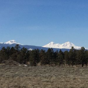 2025 Tuesday Tags at Pine Nursery 
