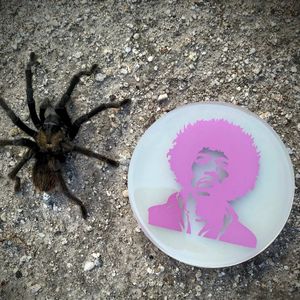 North County Disc Golf Club - Sunday Singles n’  Dubz