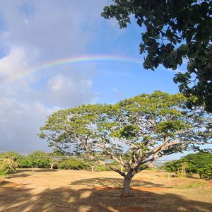 Koopz 2Daze Handicap League 