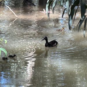 Sunday Dubz by BUTTS - Sunday Dubz - March