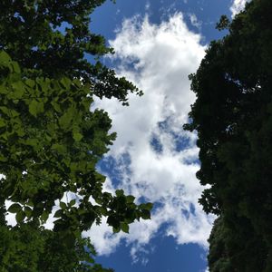 Wānaka Weekly League 