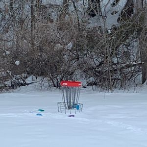 Peterborough 25/26 Diehard League - Peterborough 25/26 Diehard League