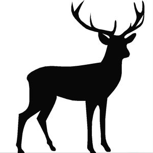 Tuesday Tags & Handicap League - Handicap Only
