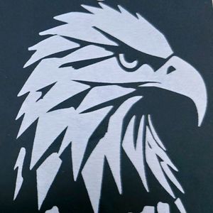 Red Eagle League at Project15