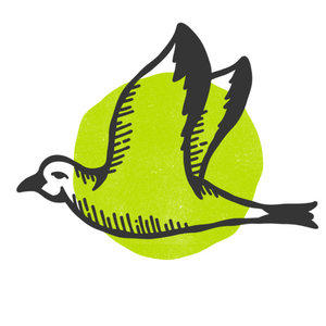 Frost Flight - Singles @ Kaposia (Flight Deck League)