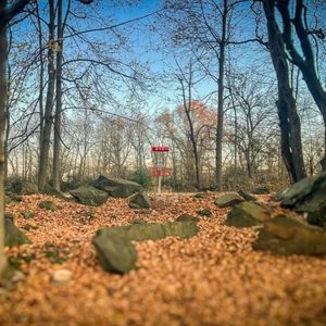 Beach City Dam Doubles