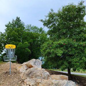 County Home Tags - County Home Park - Bag Tag League