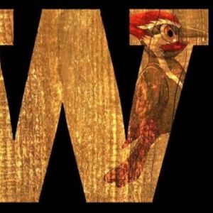 Woodpeckers - New World R/W Handicap - Bag Tags at New World - Red/White Short to Red/Green