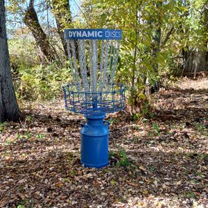 Osceola Disc Golf Leagues - Fun dubs
