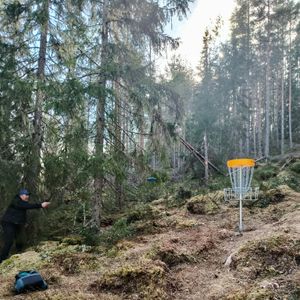 Gustafs söndags disc - Gustafs söndags disc
