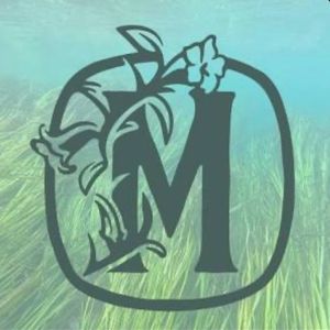 Middleton Brewery Singles - Middleton Brewing Singles