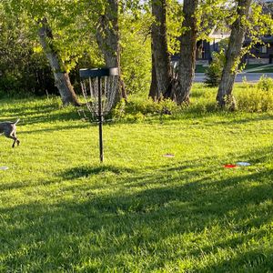 The Weekly Shaft - League Play