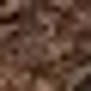 Local Plymouth/Canton Discgolfers