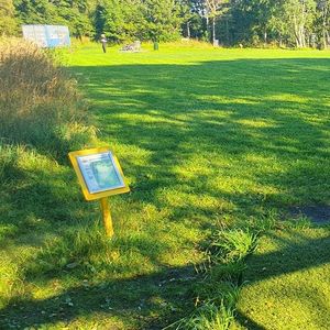 Kristiansund frisbeegolf onsdagsgolf