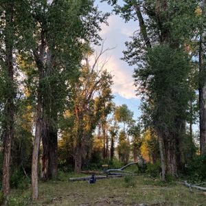 5th Street Weekly - TDGC - 5th Street Weekly - TDGC