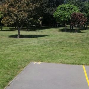 Mid Canterbury Disc Golf - Mid Canterbury Disc Golf