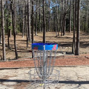 NHDGC Club Dubs at Castle - Week 20 Short pads to white baskets (4, 10 and 17)